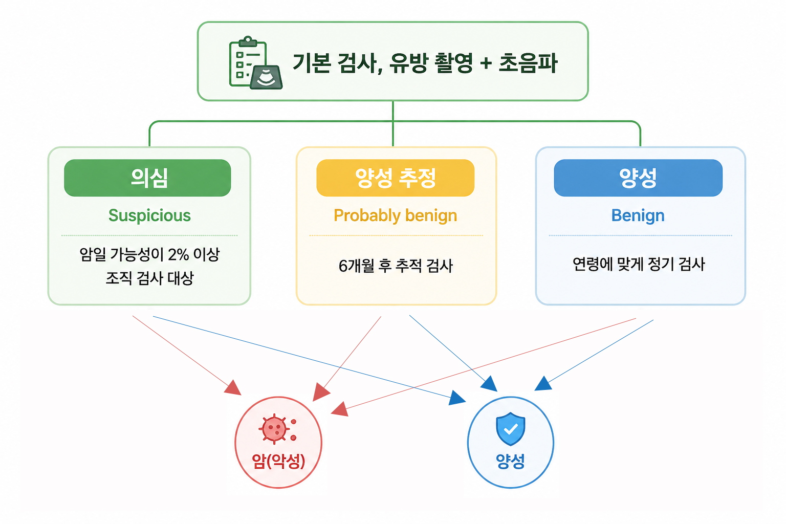 유방 진단 과정